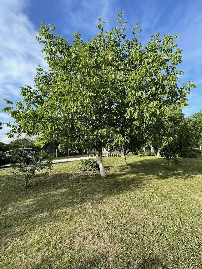 Prodaja, kuća, 150m², Čortanovci, Inđija