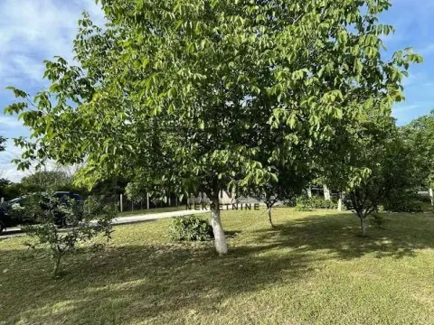 Prodaja, kuća, 150m², Čortanovci, Inđija - image 4