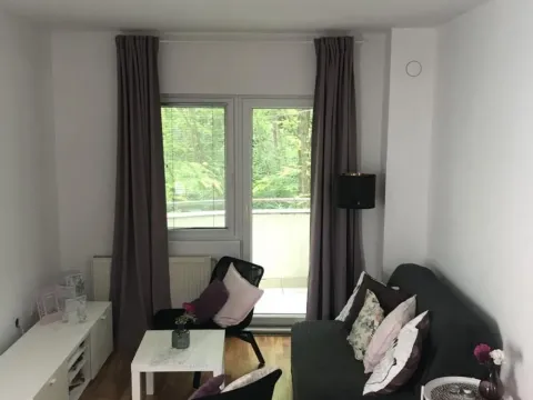 Prodaja, dvosoban stan, 38m², Zvezdarska Šuma, Zvezdara Sve Podlokacije - image 5