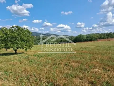 Prodaja, plac, 15200m², Sopot, Beograd - image 4