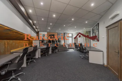 Izdavanje, poslovni prostor, 315m², Banovo Brdo, Beograd - image 5