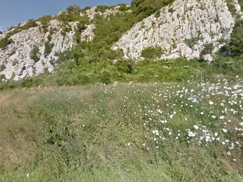Prodaja, plac, 809m², Čanj, Bar - image 3