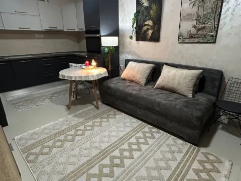 Izdavanje, jednosoban stan, 40m², Zlatica, Podgorica - image 6