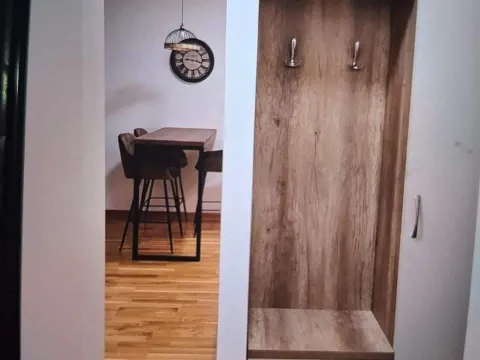 Izdavanje, jednosoban stan, 37m², Zabjelo, Podgorica - image 10