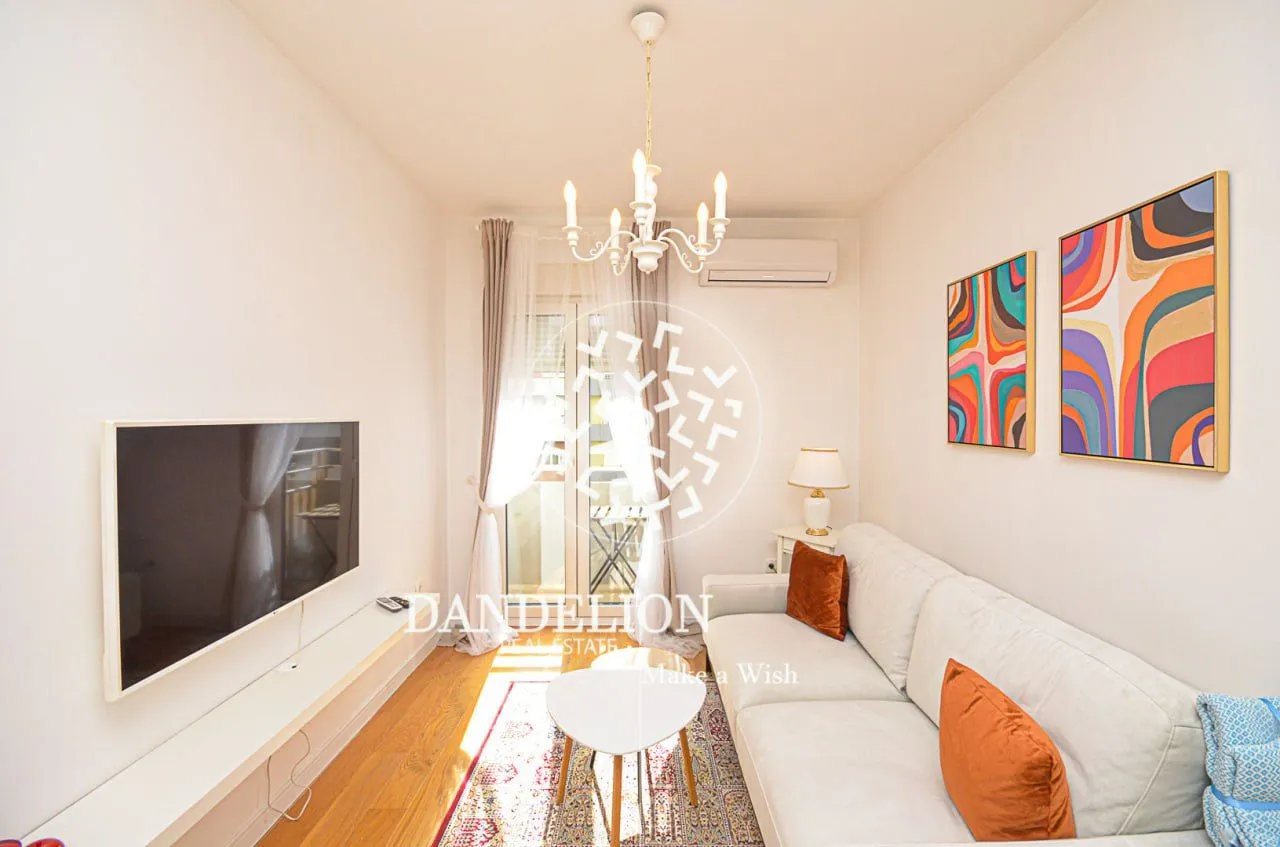 Izdavanje, jednosoban stan, 45m², Central Point, Podgorica