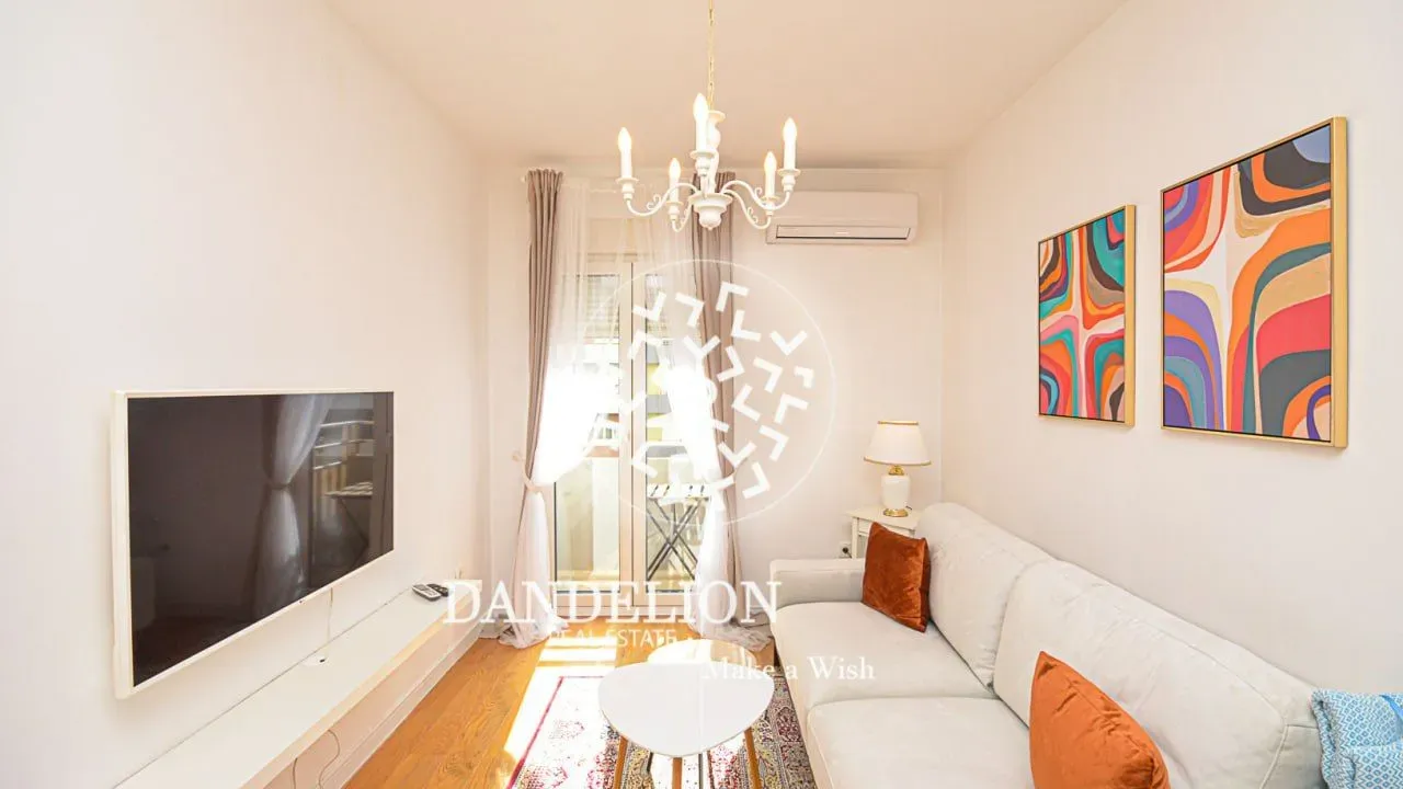 Izdavanje, jednosoban stan, 45m², Central Point, Podgorica