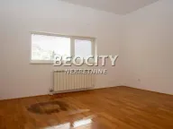 Rent, house, 300m², Dedinje Sve Podlokacije, Beograd - image 7