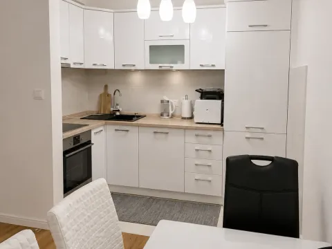 Rent, one bedroom apartment, 49m², Central Point, Podgorica - image 4