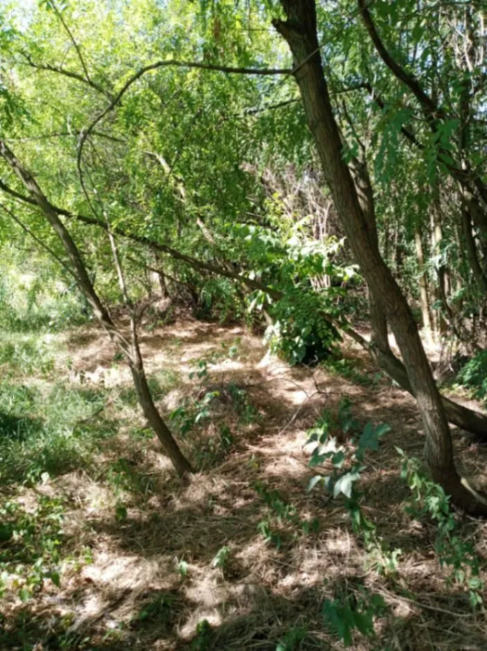 Izdavanje, plac, 9330m², Dudovi, Obrenovac