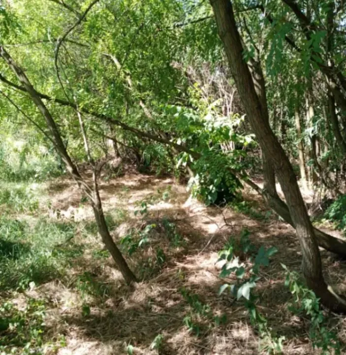 Izdavanje, plac, 9330m², Dudovi, Obrenovac