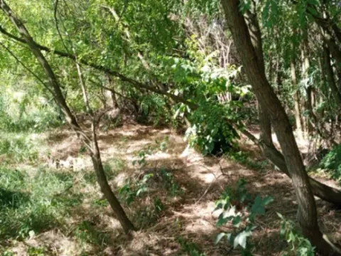 Rent, land lot, 9330m², Dudovi, Obrenovac