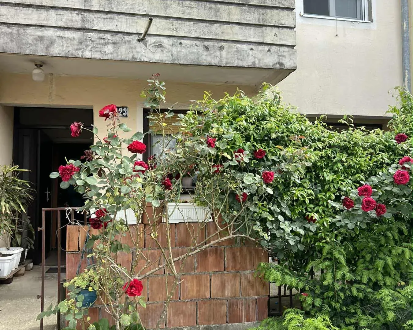 Prodaja, kuća, 160m², Zabjelo, Podgorica