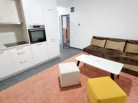 Rent, one bedroom apartment, 45m², Lastva Grbaljska, Kotor - image 1