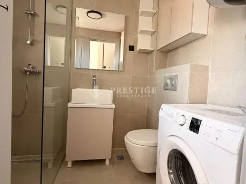 Rent, studio apartment, 25m², Zabjelo, Podgorica - image 9