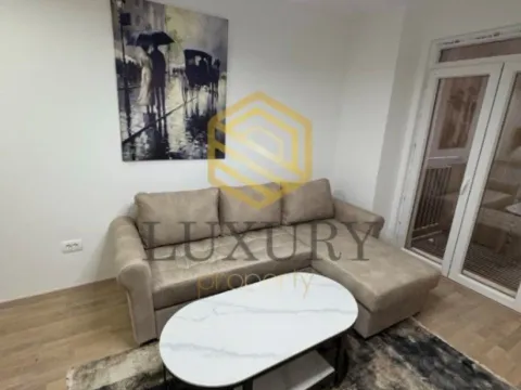 Izdavanje, garsonjera, 24m², 1 maj, Podgorica - image 2