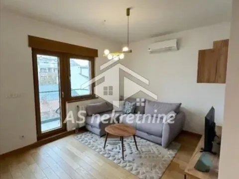 Izdavanje, dvosoban stan, 55m², Južni Bulevar, Vračar Sve Podlokacije - image 4