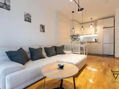 Izdavanje, jednosoban stan, 43m², Južni Bulevar, Vračar Sve Podlokacije - image 2