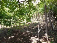 Prodaja, kuća, 68m², Šušanj, Bar - image 8