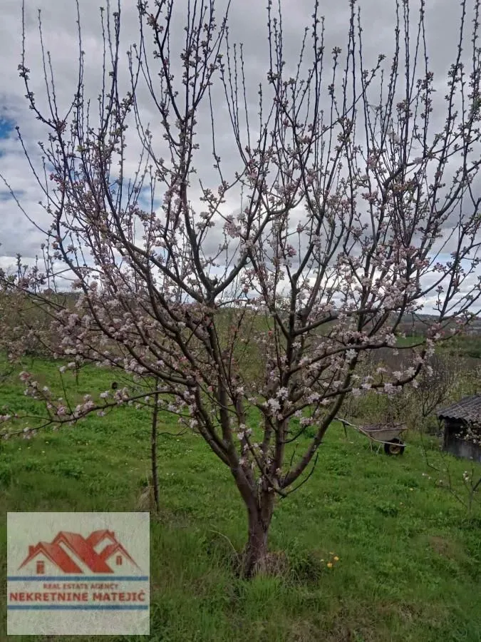 Prodaja, kuća, 56m², Kragujevac, Srbija