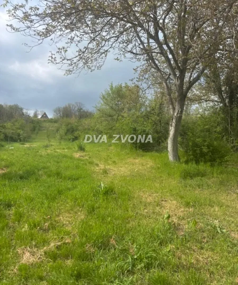 Prodaja, plac, 6400m², Čortanovci, Inđija