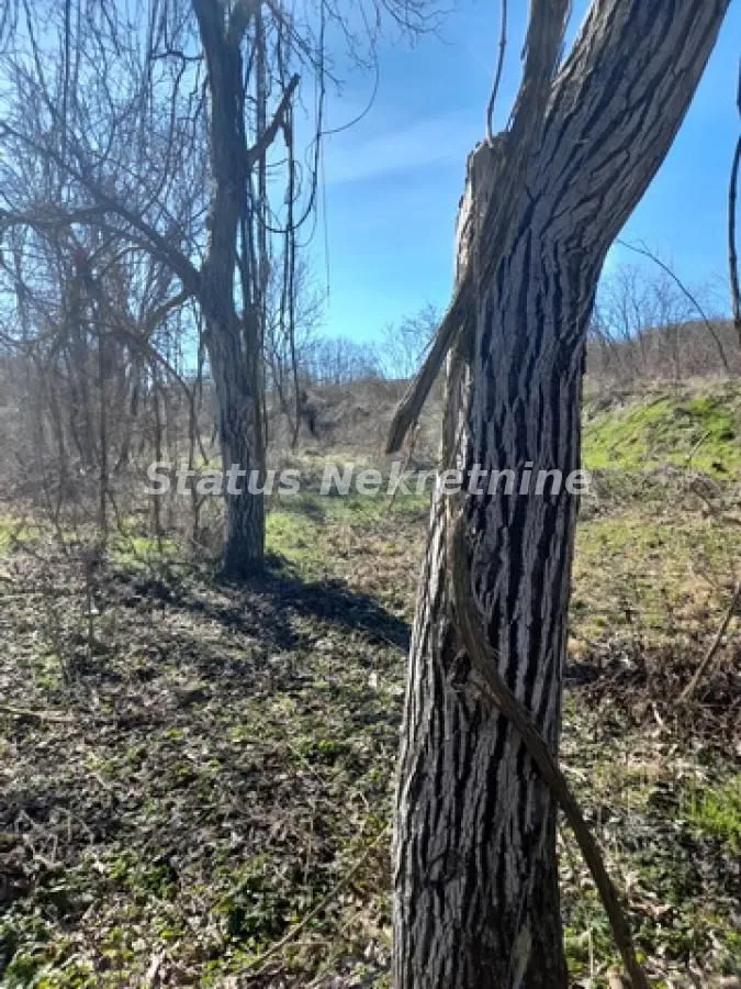 Prodaja, plac, 14757m², Sremski Karlovci, Novi Sad