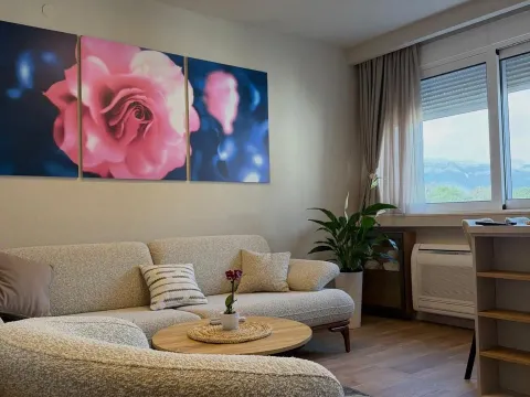 Izdavanje, jednosoban stan, 45m², Centar, Tivat - image 2