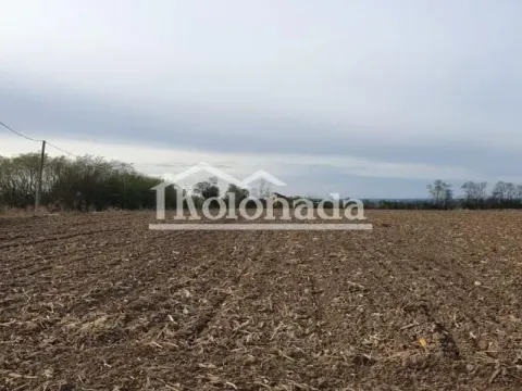 Sale, land lot, 2417m², Nemenikuće, Sopot - image 4