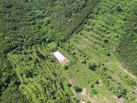 Prodaja, plac, 83000m², Radanovići, Kotor - image 9