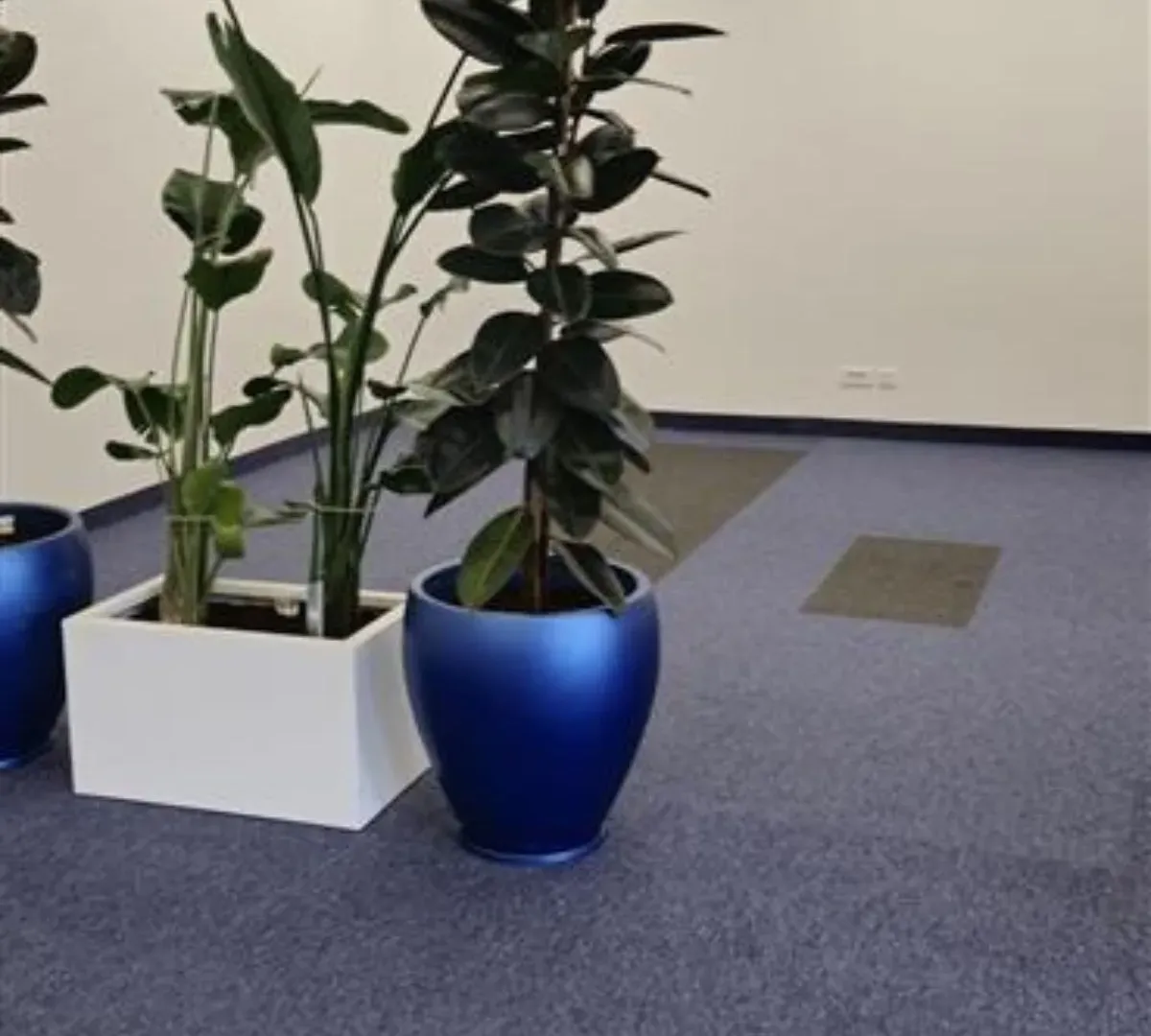 Rent, office space, 246m², Stari grad, Novi Sad