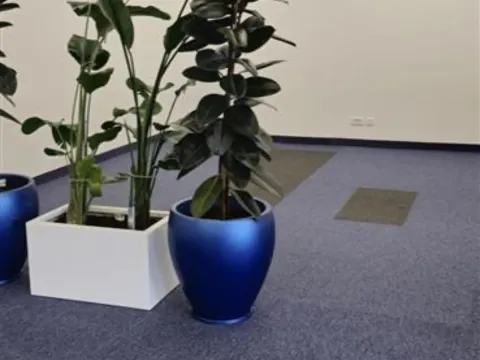 Izdavanje, poslovni prostor, 246m², Stari grad, Novi Sad - image 14