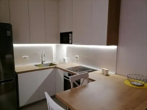 Izdavanje, jednosoban stan, 45m², Central Point, Podgorica - image 2