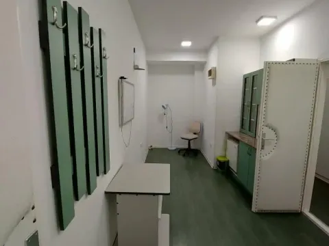 Izdavanje, poslovni prostor, 54m², Centar, Jagodina - image 6