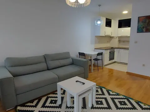 Prodaja, jednosoban stan, 43m², Stari Aerodrom, Podgorica - image 2