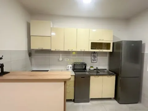 Izdavanje, dvosoban stan, 56m², Stari Aerodrom, Podgorica - image 10