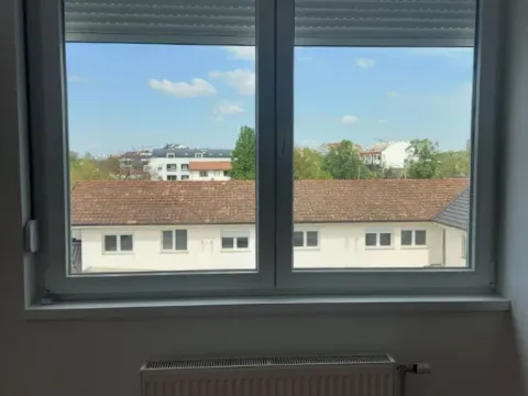 Sale, one bedroom apartment, 40m², Petrovaradin, Novi Sad - image 4