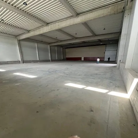 Izdavanje, poslovni prostor, 800m², Šimanovci, Pećinci