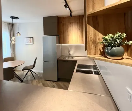 Izdavanje, dvosoban stan, 60m², Mažina, Tivat - image 8