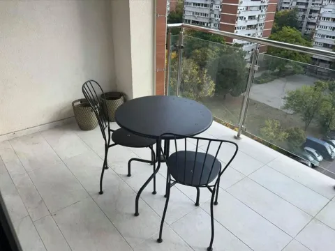 Izdavanje, dvosoban stan, 65m², Novi Beograd Blok 45, Novi Beograd Sve Podlokacije - image 17