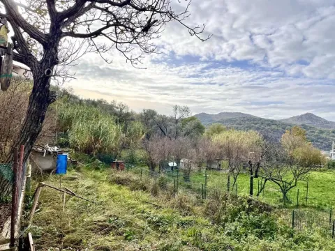 Pogled na zeleno dvorište i okolnu prirodu sa drvećem. - image 4