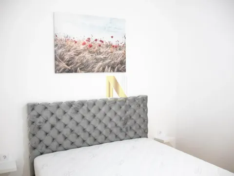 Izdavanje, jednosoban stan, 34m², Telep, Novi Sad Sve Podlokacije - image 5