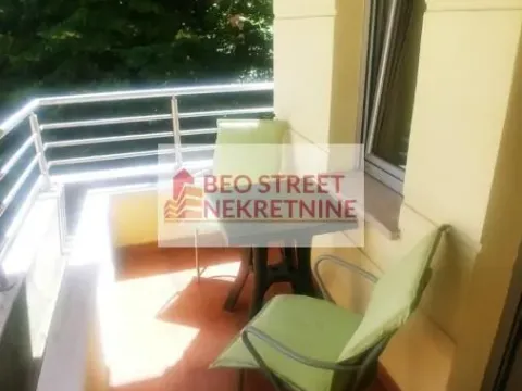 Izdavanje, jednosoban stan, 50m², Vračar Hram, Vračar Sve Podlokacije - image 2