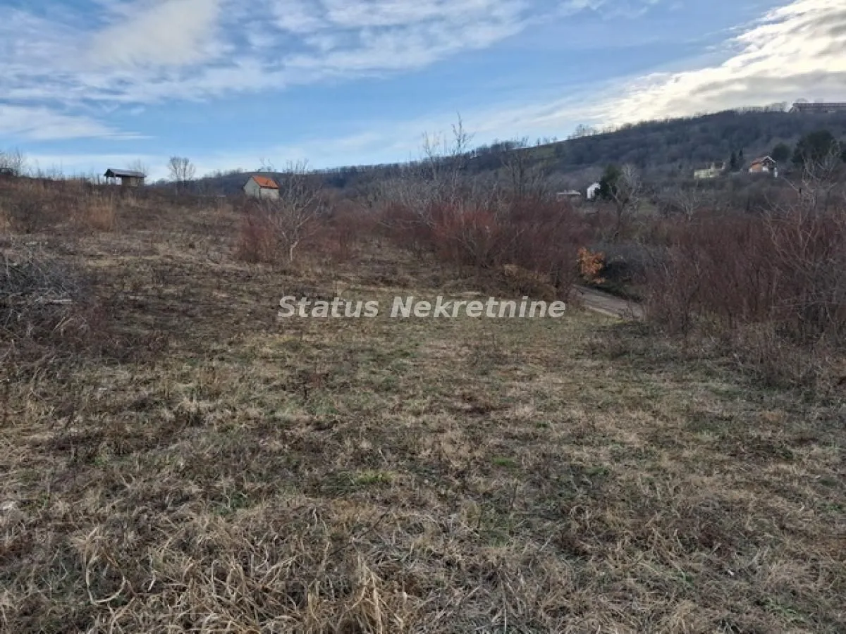 Prodaja, plac, 14994m², Ledinci, Petrovaradin