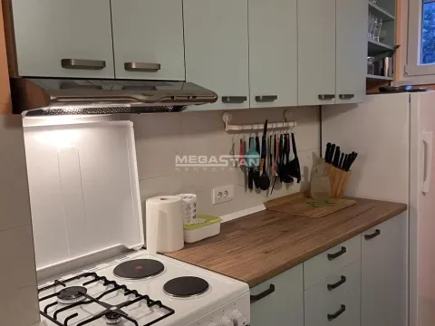 Izdavanje, dvosoban stan, 49m², Zemun Sve Podlokacije, Beograd - image 9