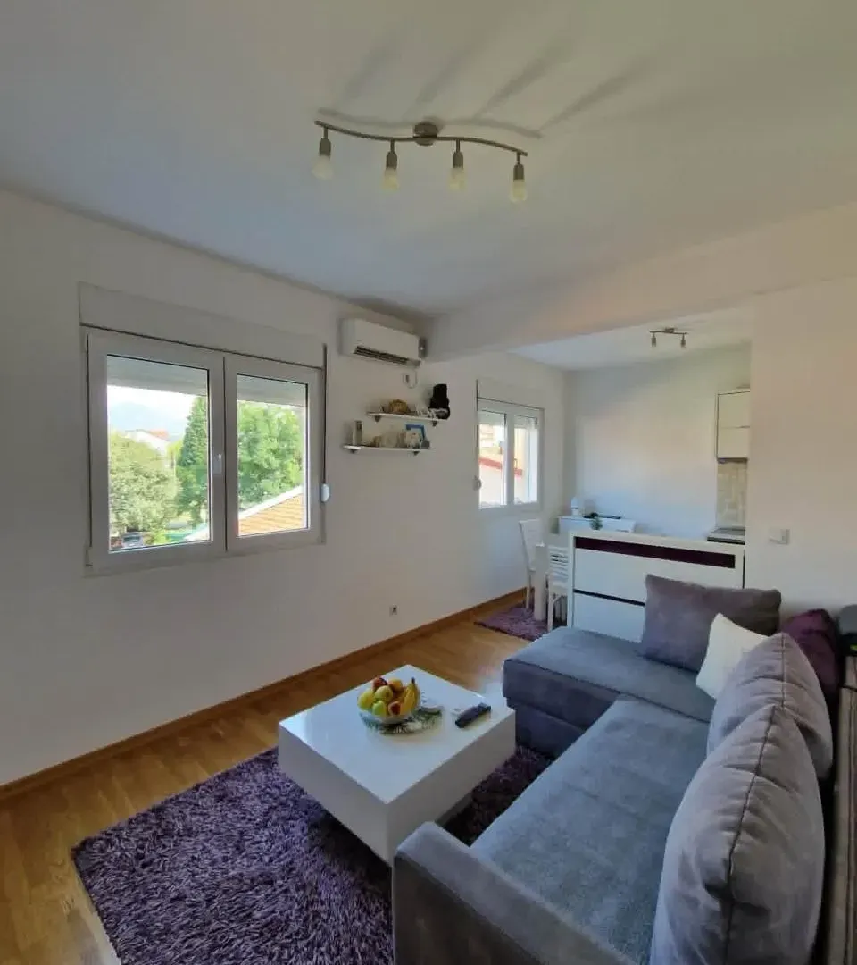 Rent, one bedroom apartment, 46m², Stari Aerodrom, Podgorica