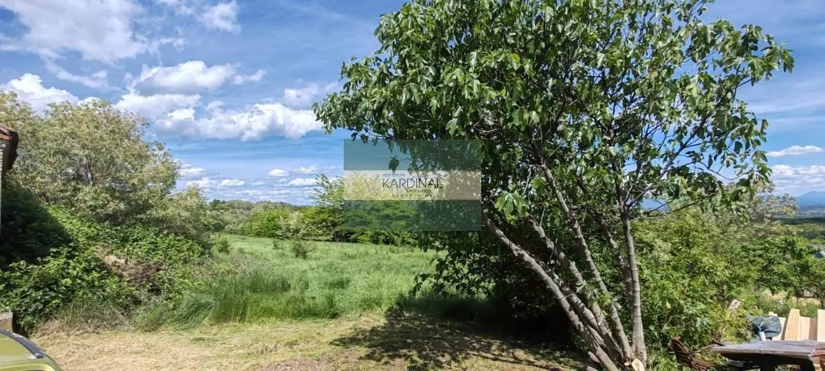 Prodaja, kuća, 250m², Crnče, Jagodina