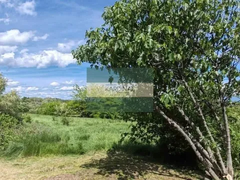 Prodaja, kuća, 250m², Crnče, Jagodina - image 10
