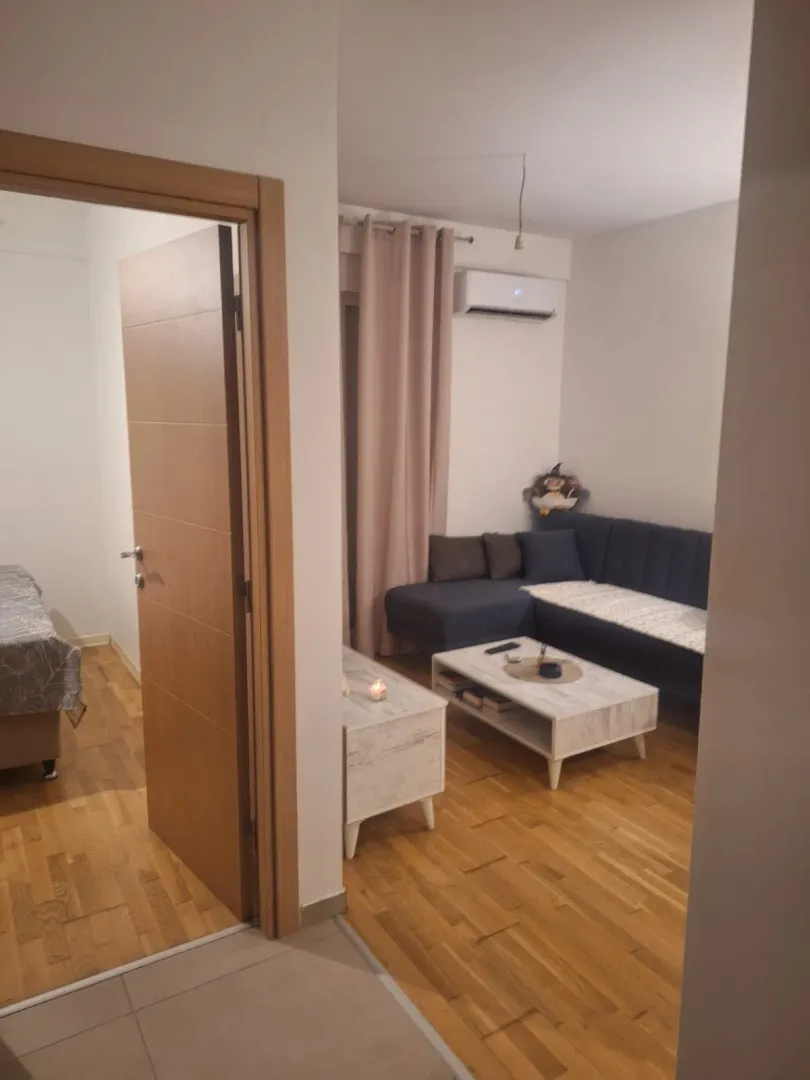 Rent, one bedroom apartment, 31m², Zabjelo, Podgorica