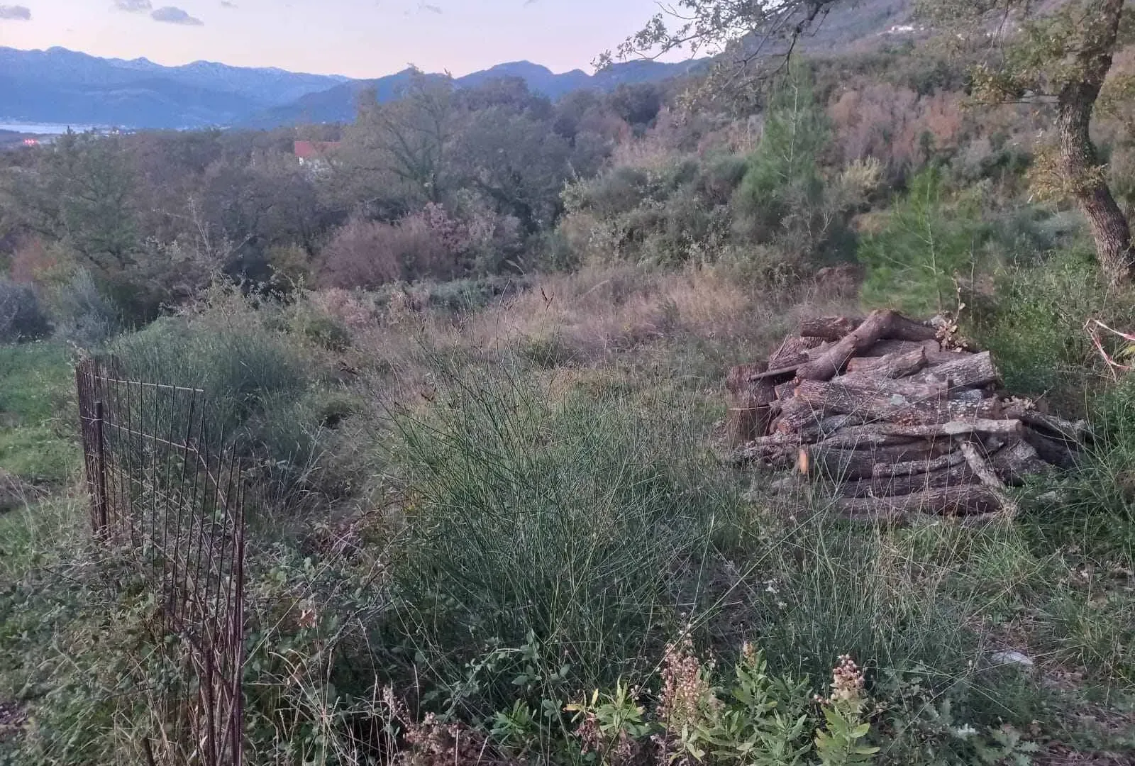 Prodaja, plac, 1370m², Kotor, Crna Gora