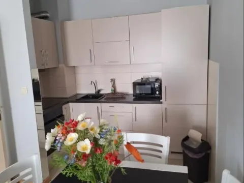 Izdavanje, jednosoban stan, 46m², City Kvart, Podgorica - image 4