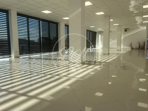 Izdavanje, poslovni prostor, 228m², Altina, Beograd - image 8